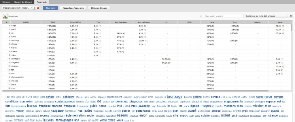 optimisation des mots clés website auditor