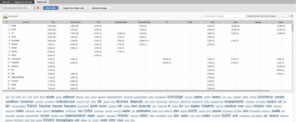 optimisation des mots clés website auditor