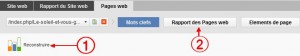 tuto utilisation website auditor