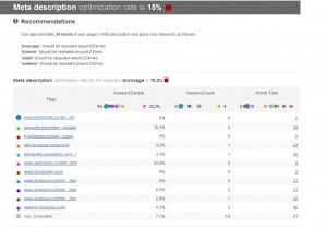 exemple website auditor rapport meta description