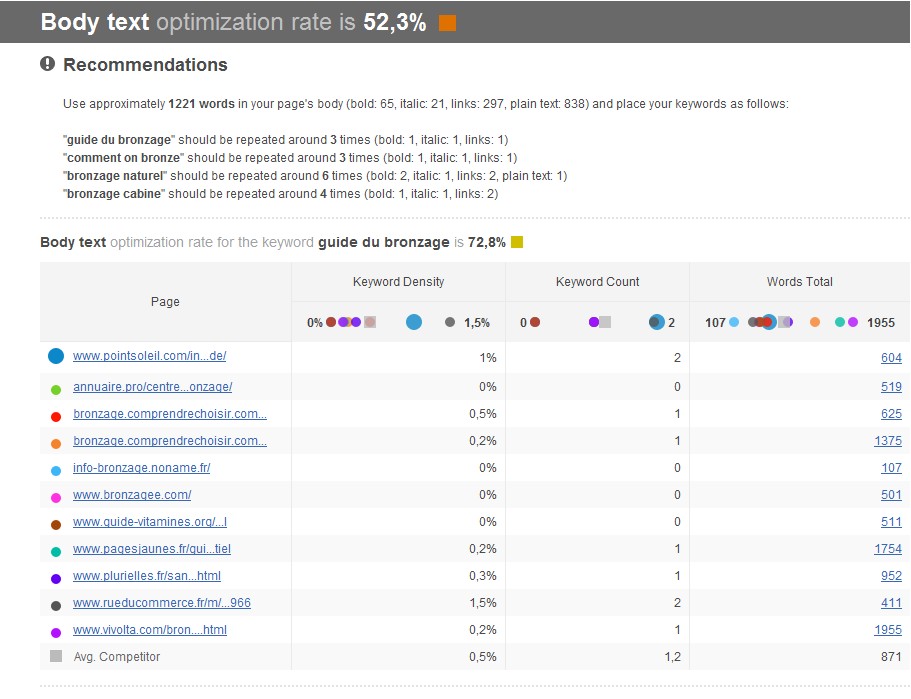 Exemple utilisation website auditor