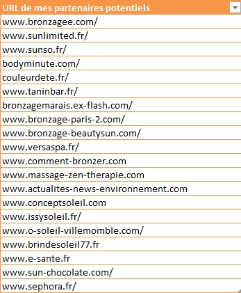 Utilisation d'Excel pour le Netlinking
