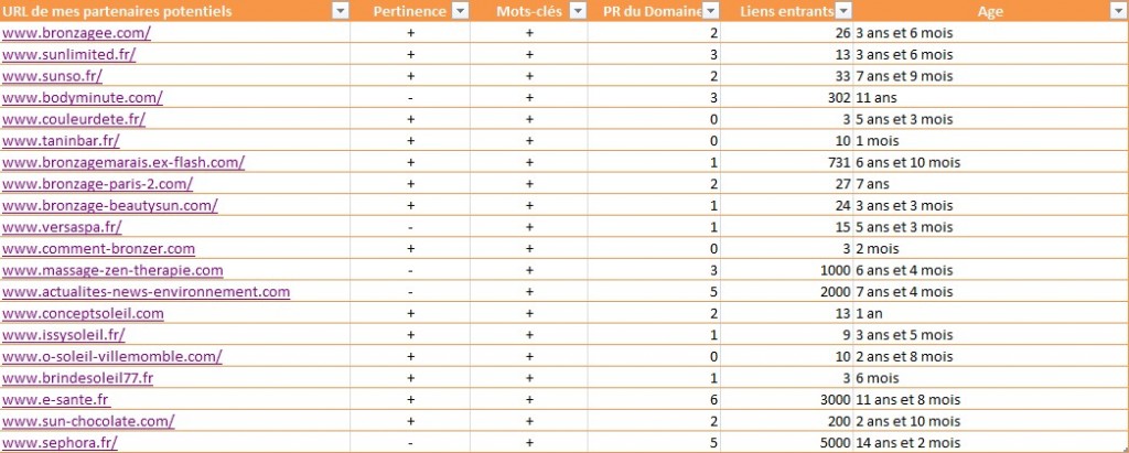 Utilisation d'Excel pour le netlinking d'un site